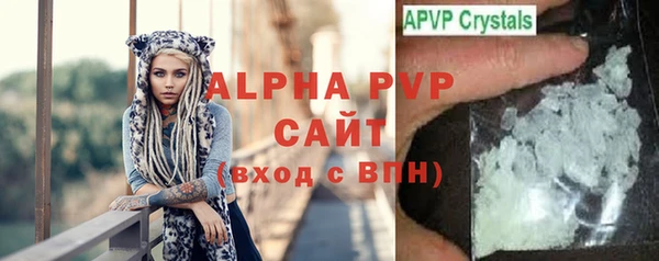 PSILOCYBIN Балабаново