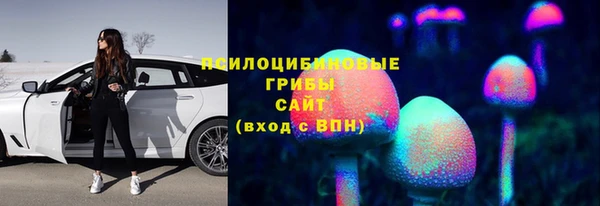 стафф Баксан