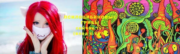 стафф Баксан