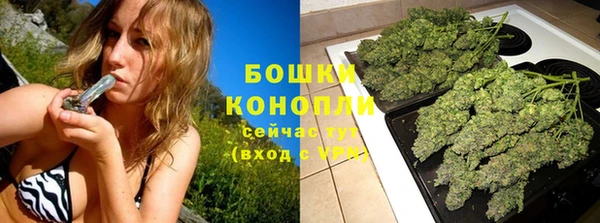 PSILOCYBIN Балабаново