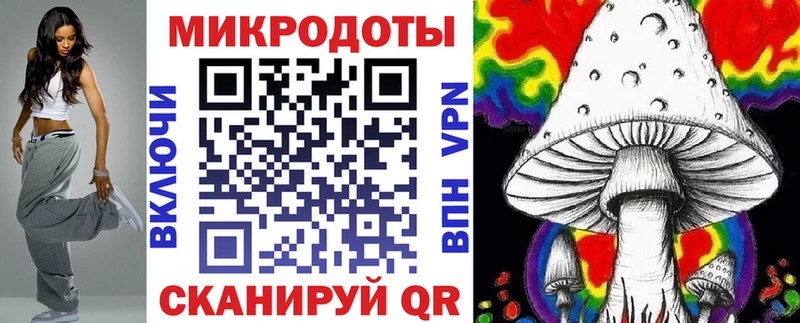 Псилоцибиновые грибы мухоморы  кракен как войти  Суоярви 